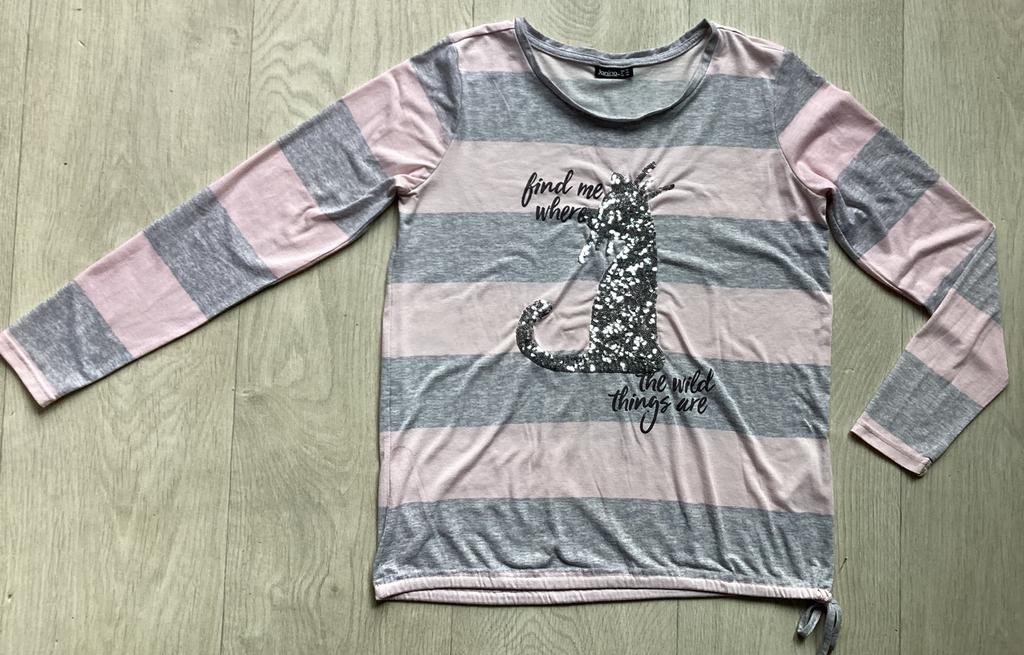 Roze/Grijze gestreepte shirt maat 36 van Janina, Ophalen of Verzenden, Lange mouw, Roze, Maat 36 (S)