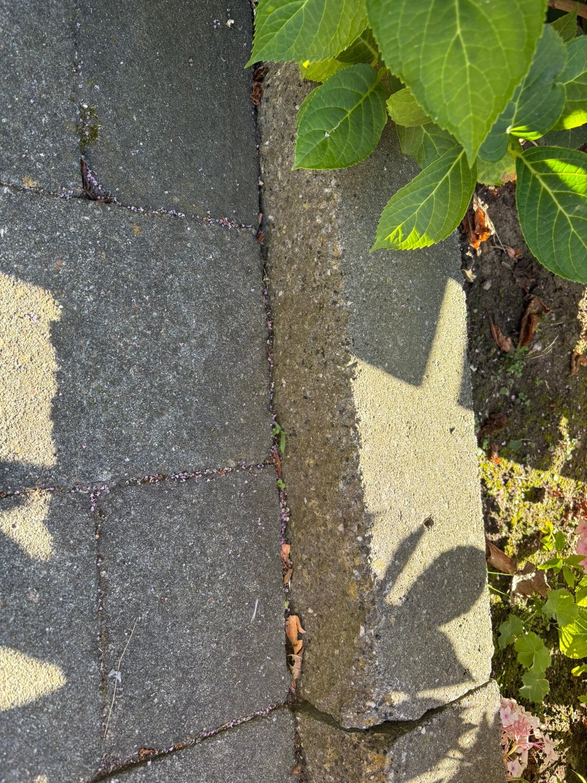 Beton bielzen borderrand Antraciet. Gratis ophalen., Tuin en Terras, Tegels en Klinkers, Ophalen, Gebruikt, Beton, Overige typen