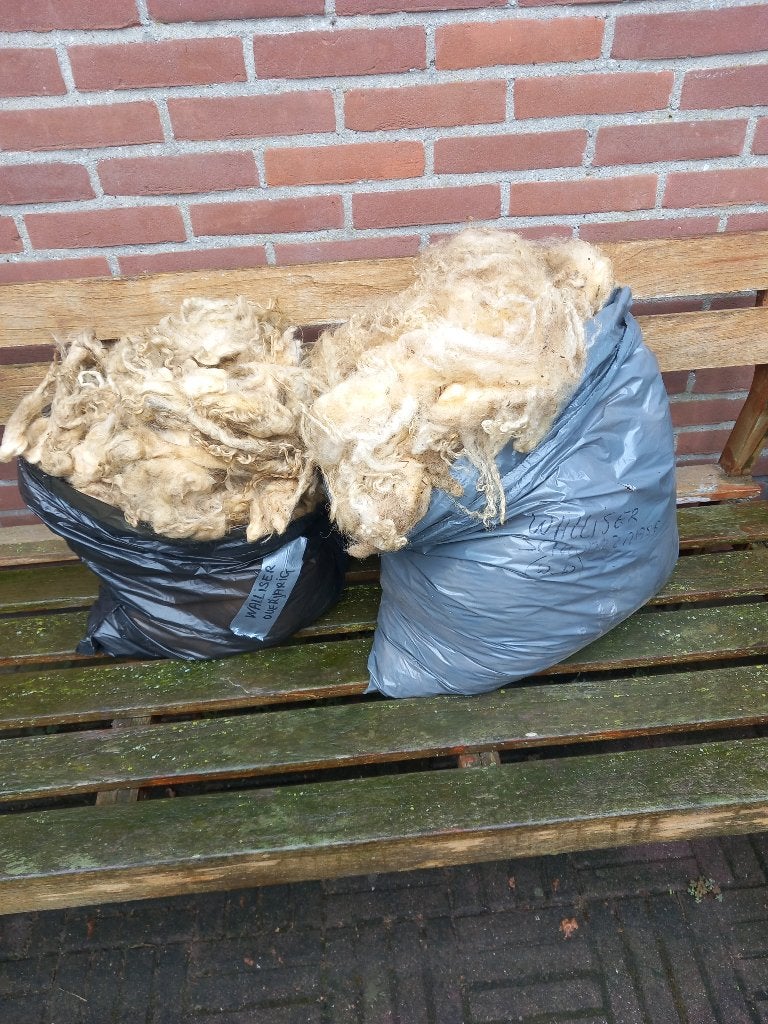 Schapenwol Walliser Schwarznase 2 vachten, Ophalen, Zo goed als nieuw