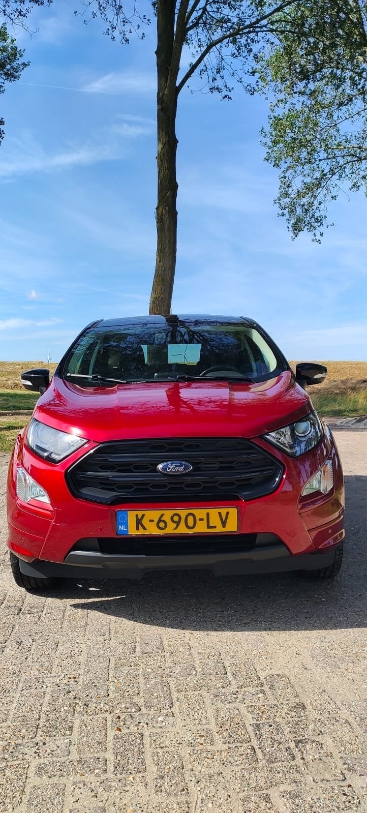 Ford Ecosport 1.0 Ecoboost 125pk AUT 2018 Rood, Auto's, Ford, Bedrijf, Ecosport, Benzine, E, SUV of Terreinwagen, Automaat, Geïmporteerd