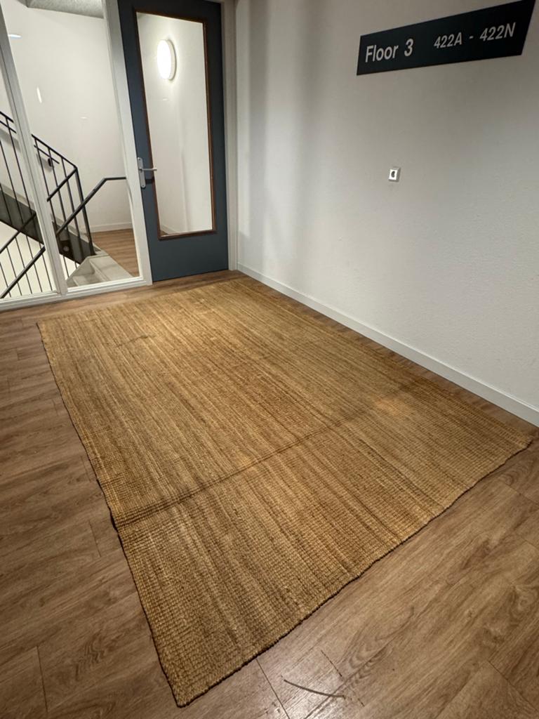Juten vloerkleed, 200x300 cm, naturel, Ophalen, Gebruikt, Bruin, 200 cm of meer
