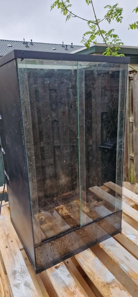 Terrarium, Dieren en Toebehoren, Reptielen en Amfibieën | Toebehoren, Ophalen of Verzenden, Zo goed als nieuw