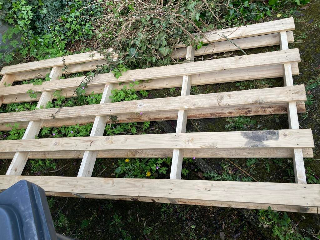 Extra grote pallet gratis op te halen, Ophalen, Gebruikt, Overige houtsoorten, Pallet