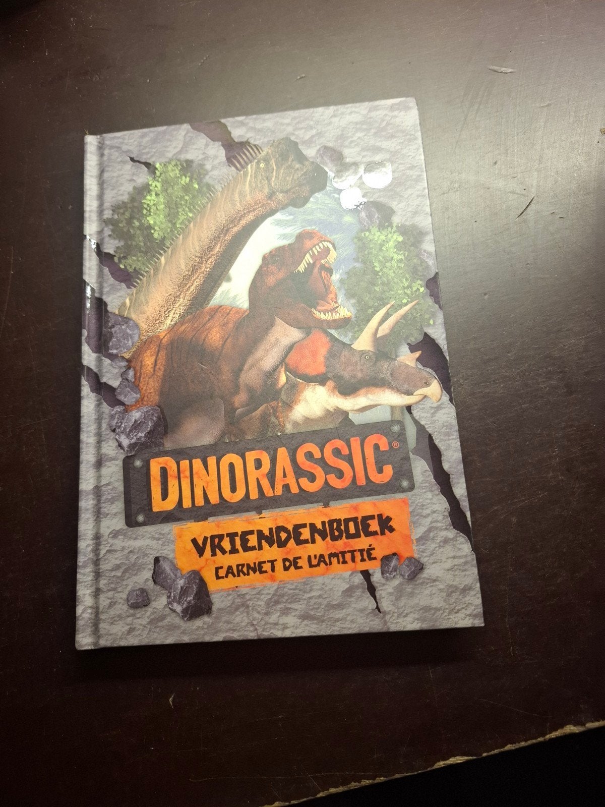 Dinorassic Vriendenboek, Ophalen of Verzenden, Zo goed als nieuw, Onbekend, Non-fictie