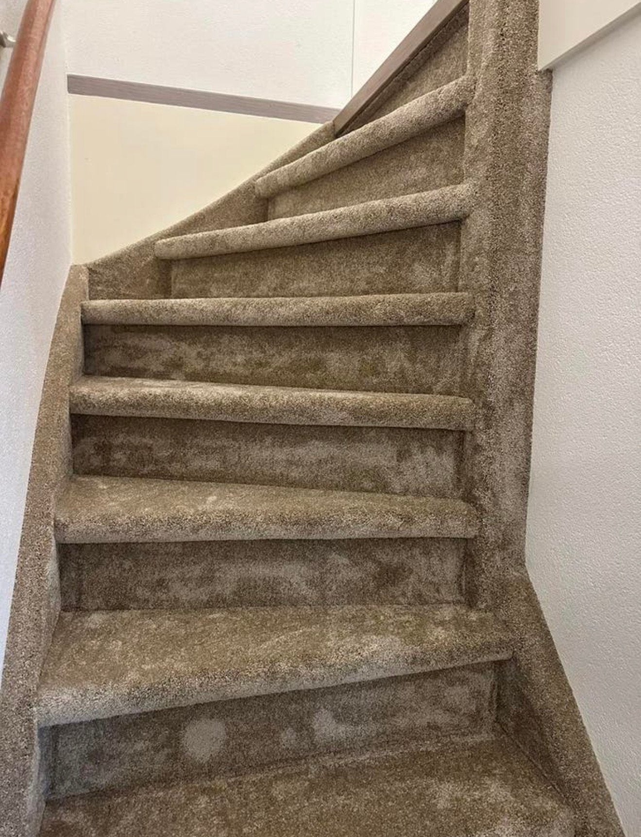 Trap stoffering | complete woning stoffering | tapijt | snel, Ophalen of Verzenden, Nieuw, Crème, Tapijt