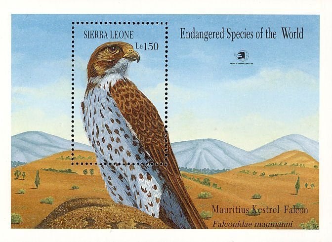 SIERRA LEONE 58 - Dieren: vogels (torenvalk), Ophalen of Verzenden, Postfris, Dier of Natuur