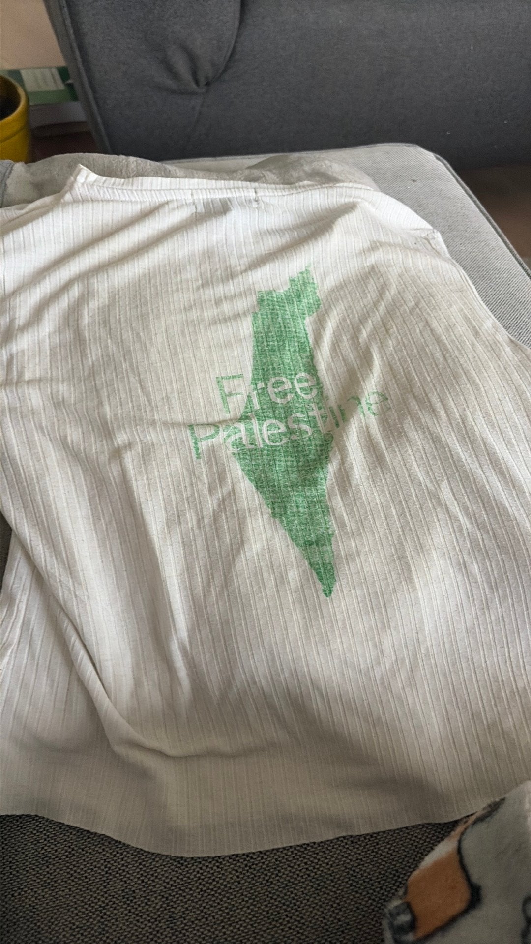 Free palastina shirt wit (croptop achtig) gratis, Kleding | Dames, T-shirts, Ophalen of Verzenden, Zo goed als nieuw