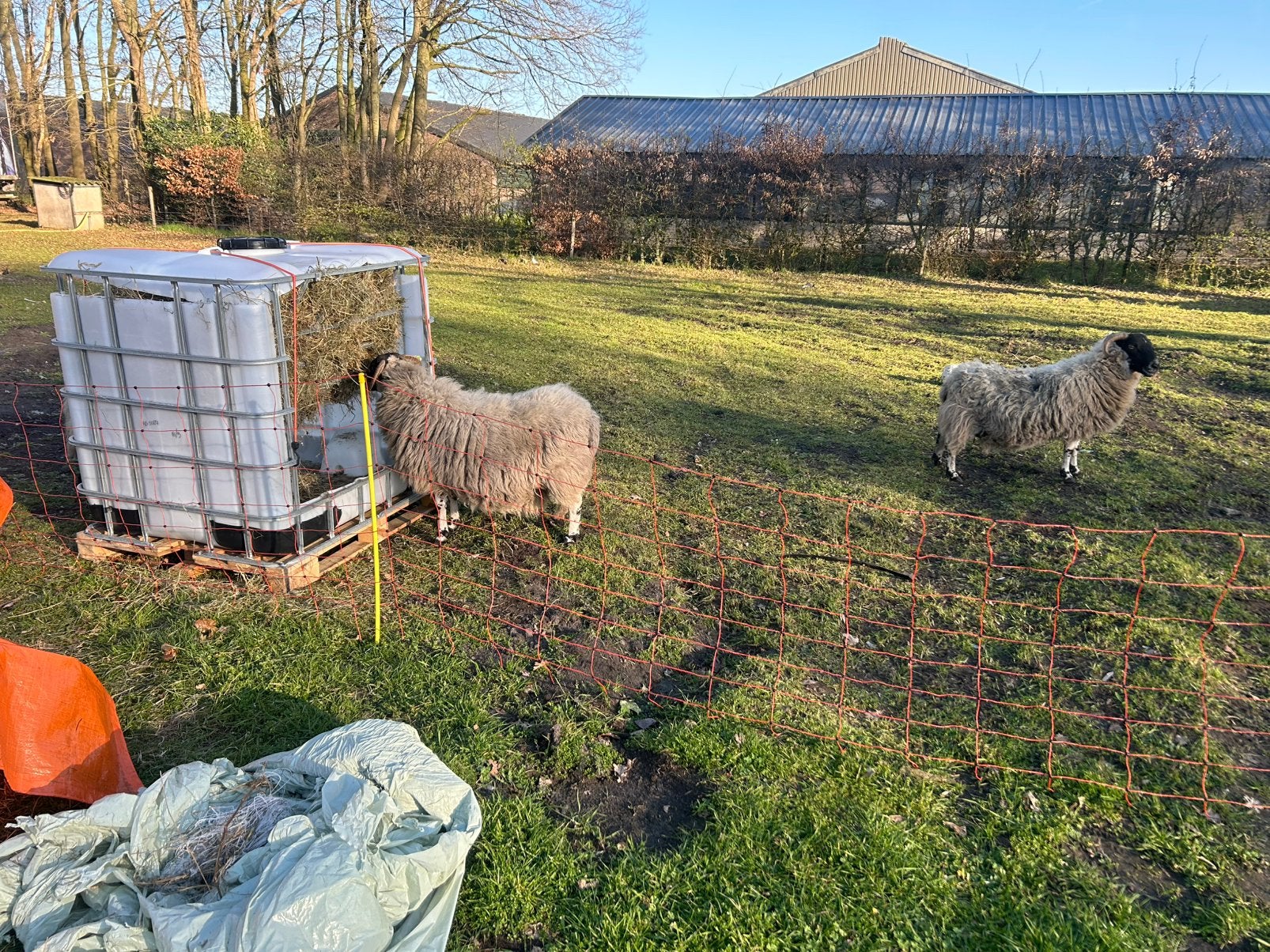 Nieuwe Hooiruif slow feeder schapen geiten pony's en paarden, Ophalen, Nieuw