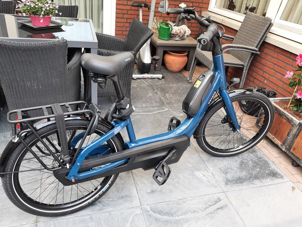 Foto 3 van Gazelle Easyflow