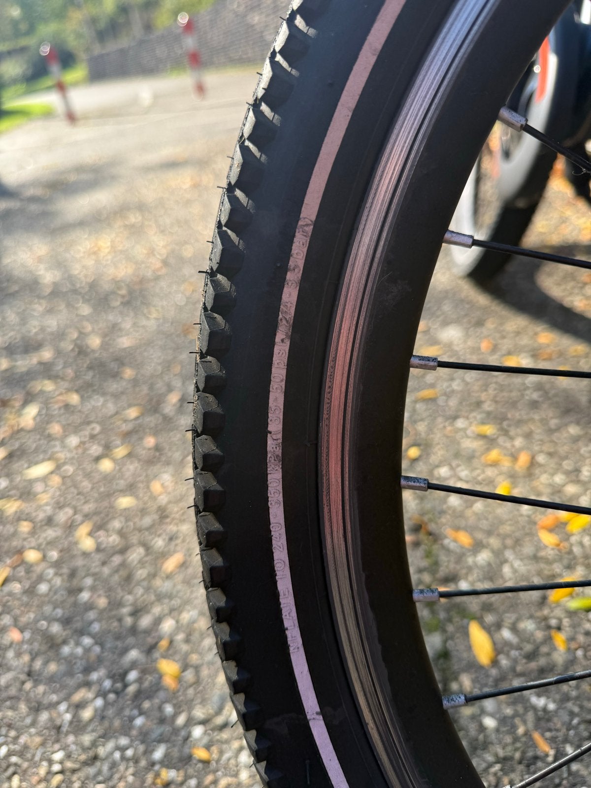 Foto 4 van Alpina Trial 22 inch - Zo goed als nieuw