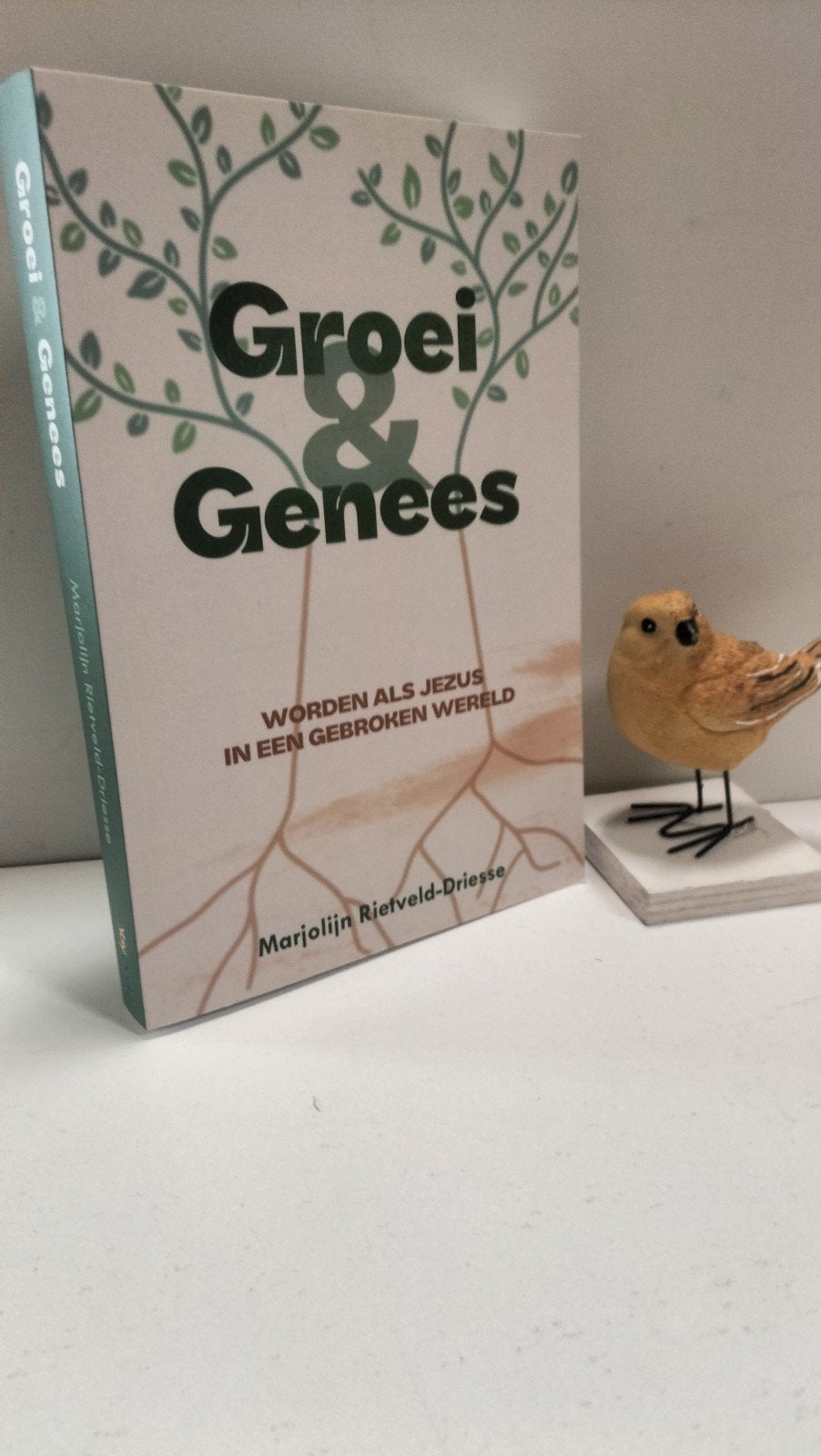 Rietveld-Driesse; Marjolijn;  Groei & genees, Ophalen of Verzenden, Gelezen, Christendom | Protestants