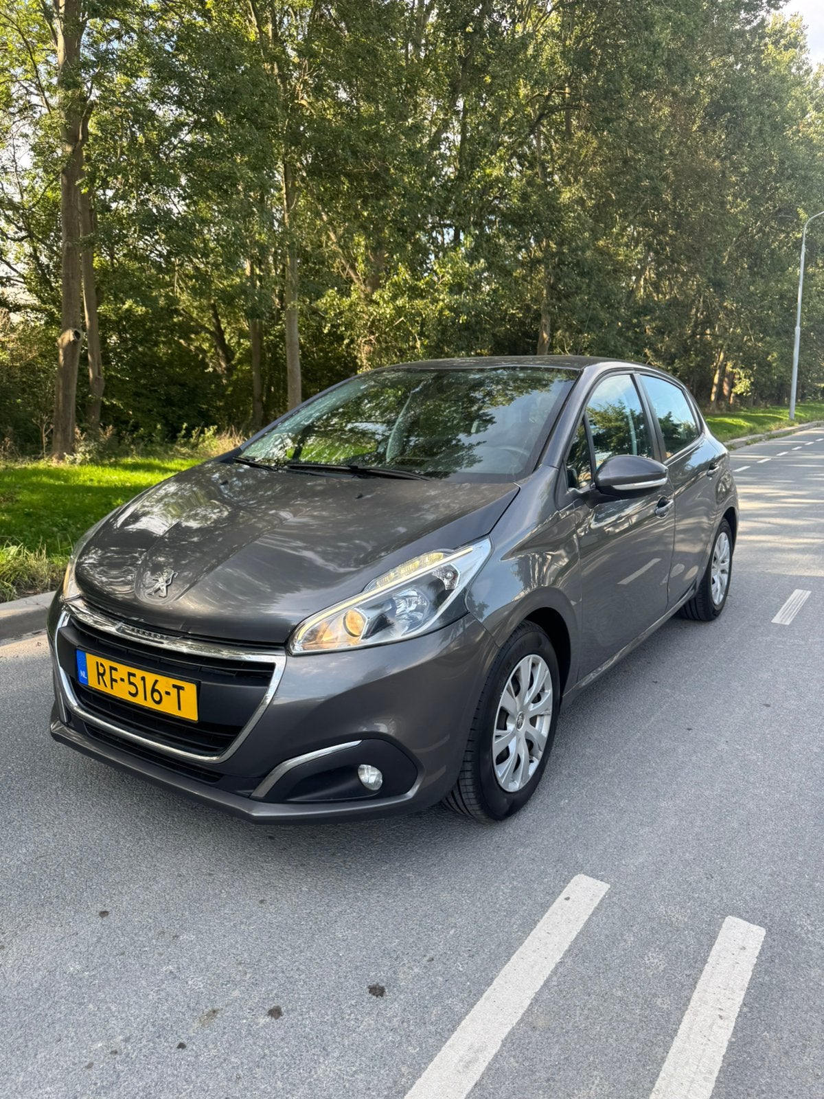 Peugeot 208 1.2 PureTech Blue Lion NieuweAPK 2eEig PDC LED, Voorwielaandrijving, Stof, 1199 cc, 23 km/l