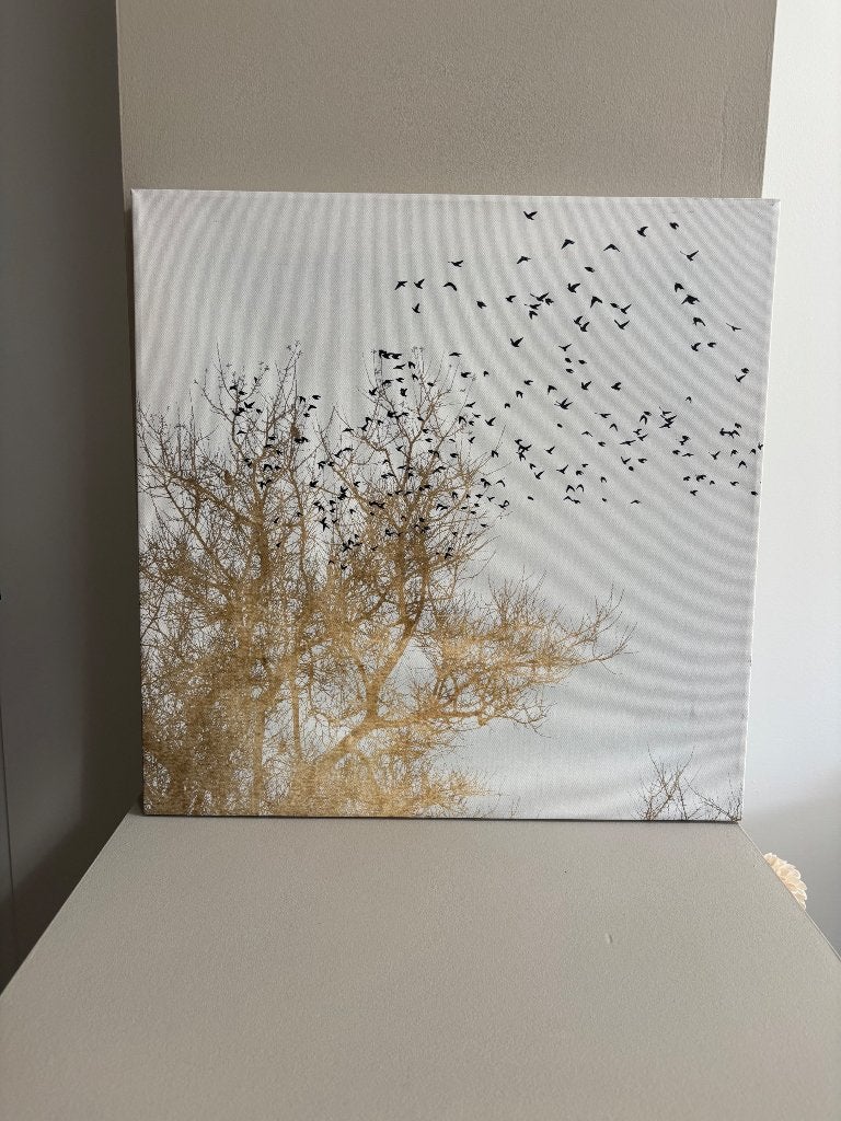 Canvas doek, Huis en Inrichting, Ophalen, Zo goed als nieuw, Foto of Poster, 5 – 50