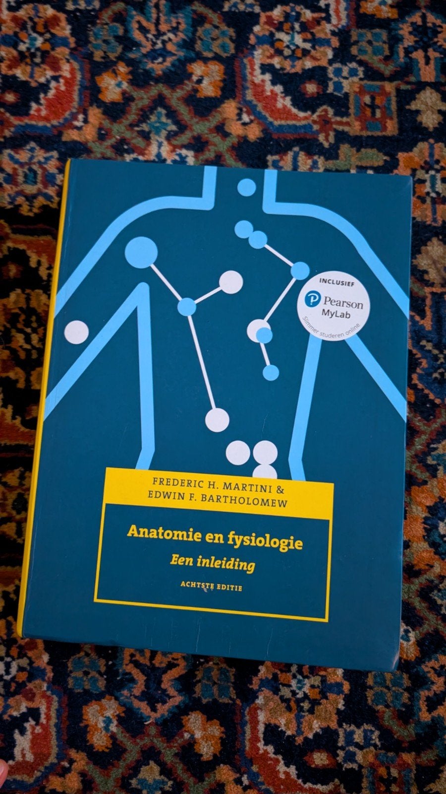 Anatomie en Fysiologie: Een inleiding (8e editie), Zo goed als nieuw, Frederic H. Martini, Edwin F. Bartholomew, Beta, HBO