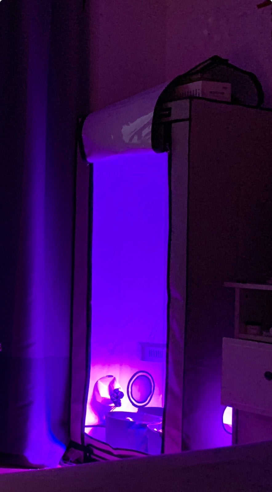 Kweekkast met lamp, Tuin en Terras, Kweekspullen, Ophalen, Gebruikt