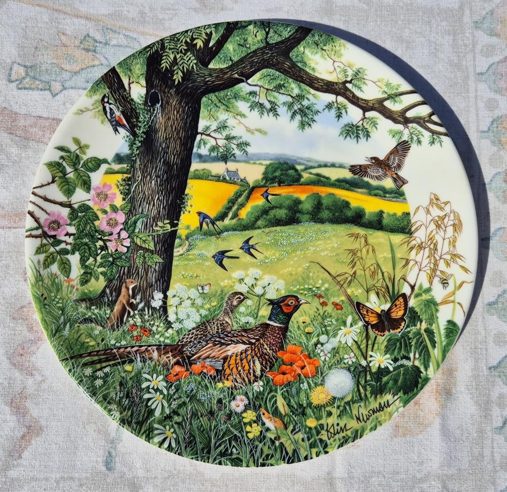 8 decoratieve wedgwood borden, Ophalen of Verzenden