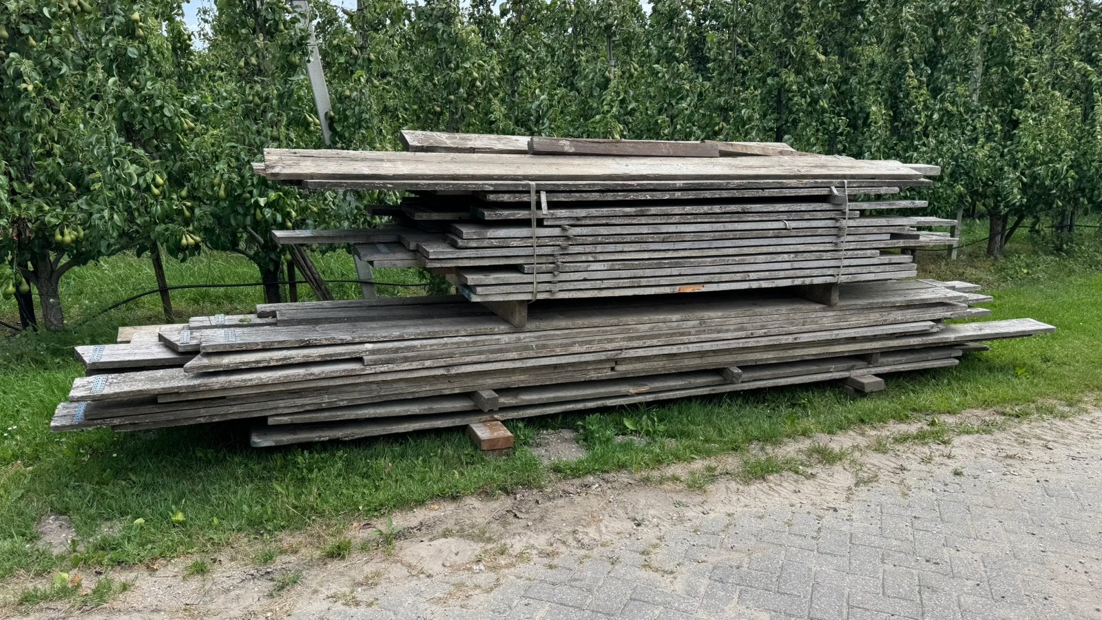Steigerplanken, Doe-het-zelf en Verbouw, Hout en Planken, Gebruikt, 25 tot 50 mm, Ophalen of Verzenden, Plank