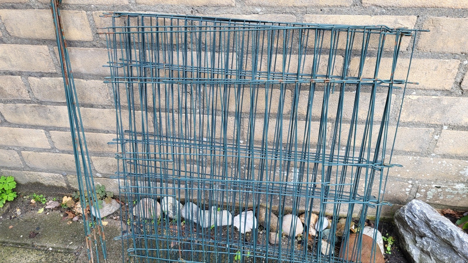konijnen of cavia ren voor buiten € 5. Ophalen Zoetermeer, Dieren en Toebehoren, Ophalen, 60 tot 90 cm, Cavia, Ren