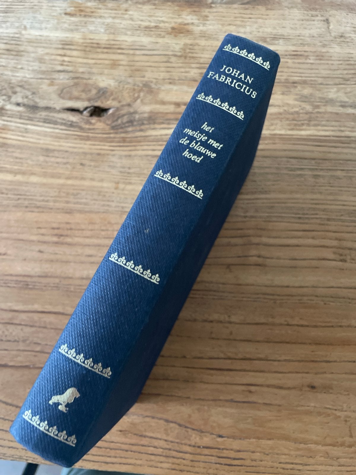 Het Meisje met de Blauwe Hoed - Johan Fabricius (Linnen), Ophalen of Verzenden, Gelezen, Nederland