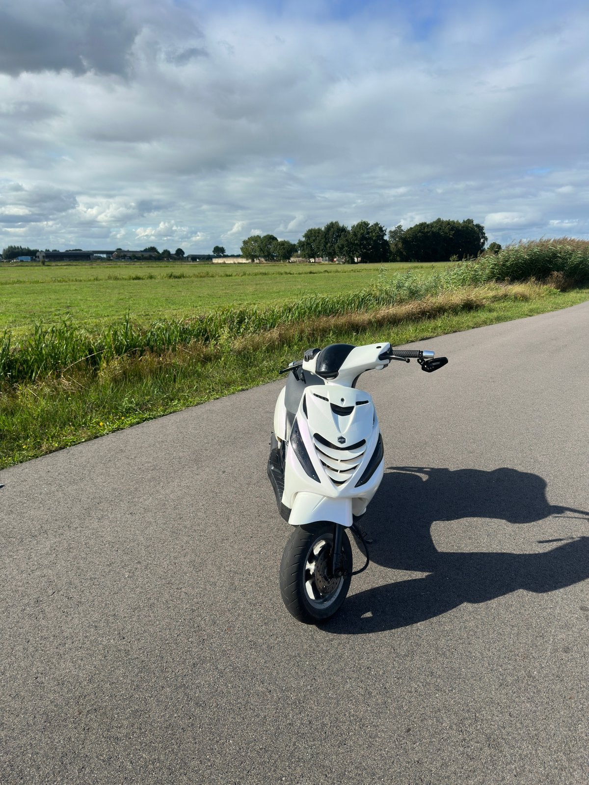 Piaggio Zip 125 Brom, Ophalen, Tweetakt, Maximaal 45 km/u, Zip
