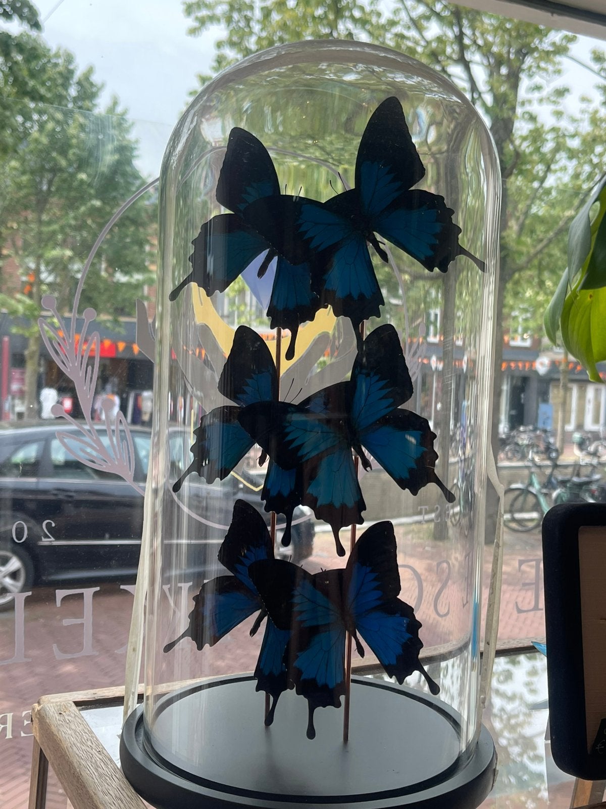 Stolp met prachtige vlinders, Ophalen of Verzenden