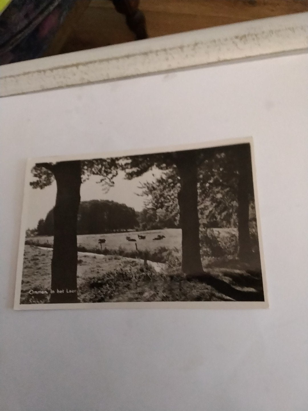 Ommerschans in het Loor - Zwart-wit ansichtkaart (1953), Ophalen of Verzenden