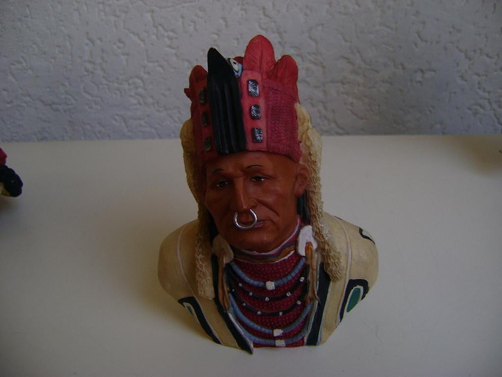 indiaan met ring door neus 16breedx15hoog, Ophalen of Verzenden, Zo goed als nieuw, Fantasy