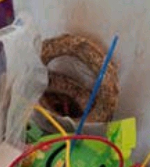 aantal kransen om een kerstkrans kerststuk te maken, Ophalen