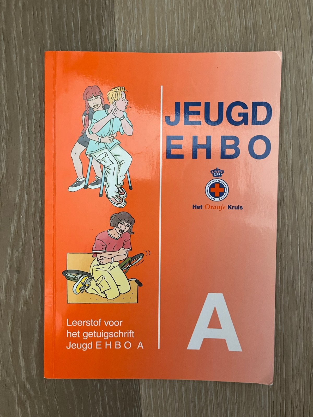 Jeugd EHBO A - Leerboek Het Oranje Kruis, Ophalen of Verzenden, Gamma, Zo goed als nieuw, Overige niveaus