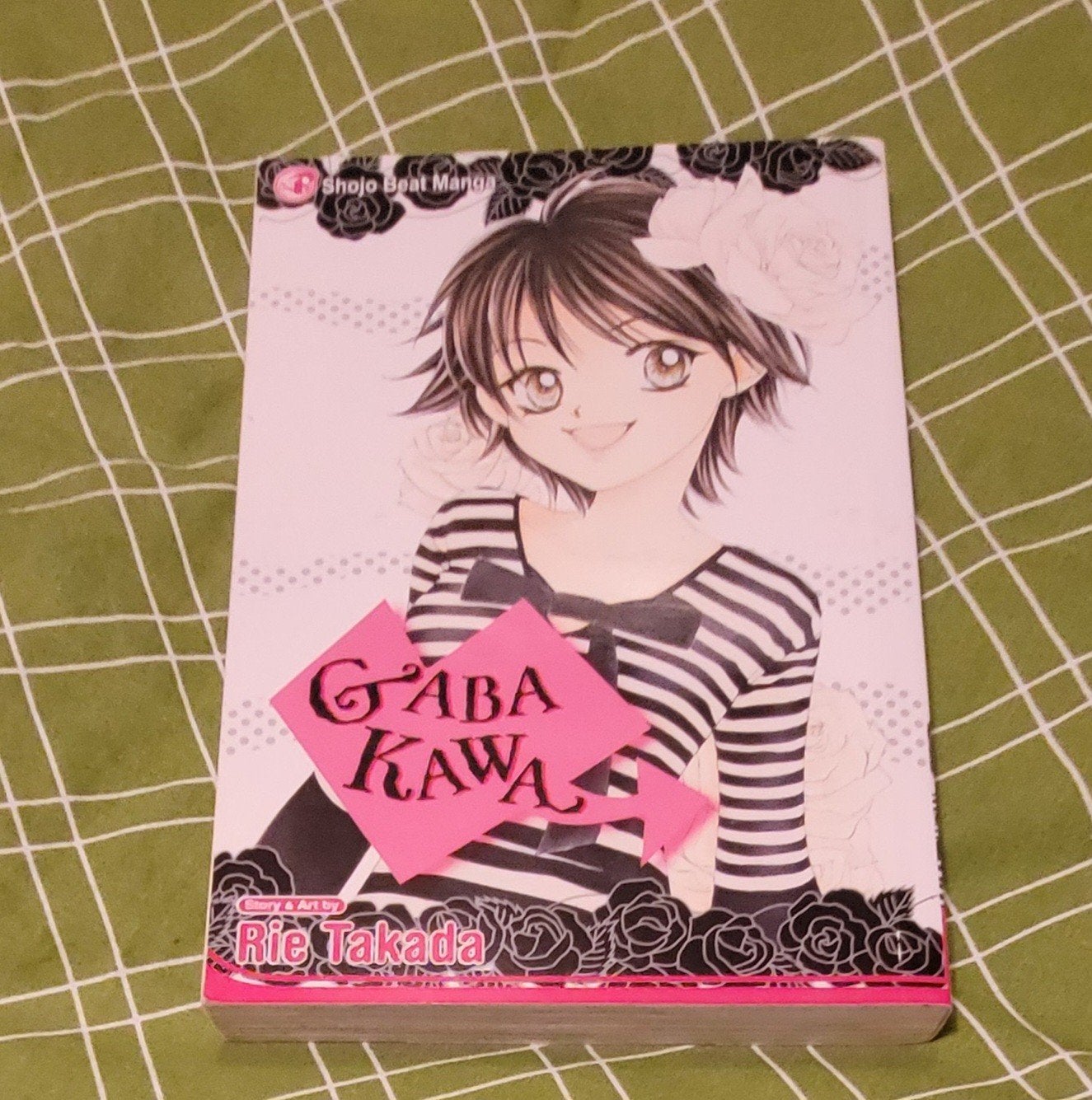 Manga Gaba Kawa, Ophalen of Verzenden, Gelezen, Rie Takada