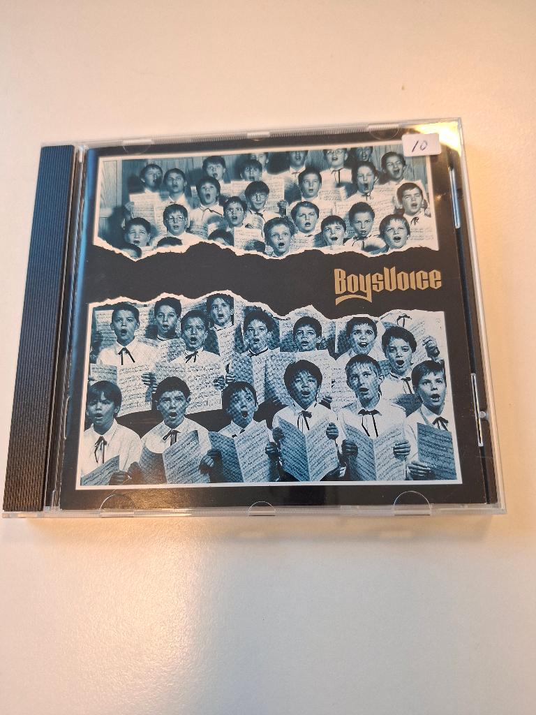CD - BOYSVOICE - S/T - 1990 GERMAN MELODIC HARDROCK AOR, Verzenden, Zo goed als nieuw
