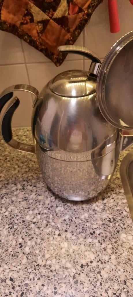 Stijlvolle RVS Theepot met Zeef - Zo goed als nieuw, Ophalen of Verzenden, Zo goed als nieuw