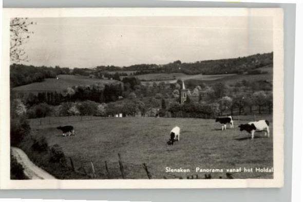 Slenaken Panorama vanaf het Holdal + koeien st 1953
