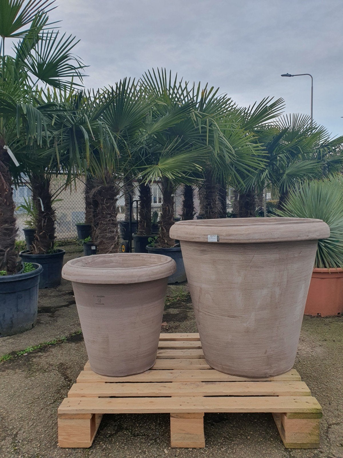 bloempotten vaso camelia, Ophalen, Nieuw