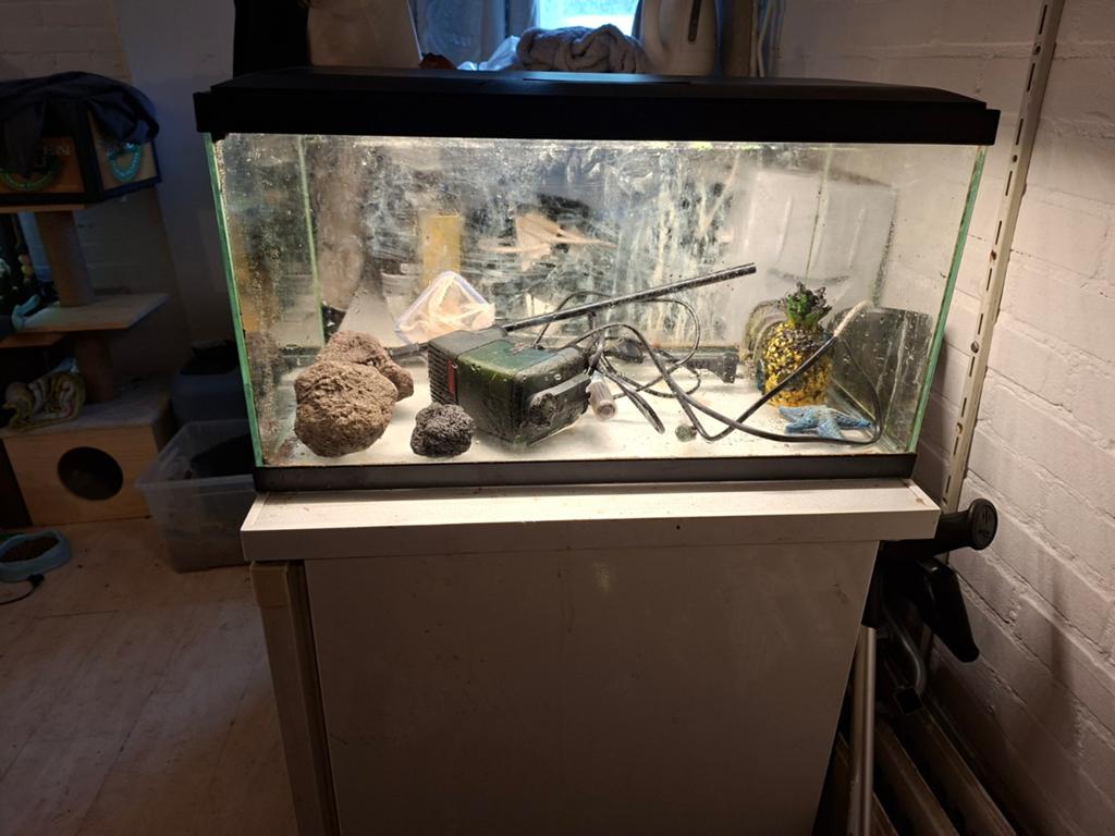 Compleet aquarium 60x30x30, Dieren en Toebehoren, Reptielen en Amfibieën | Toebehoren, Ophalen