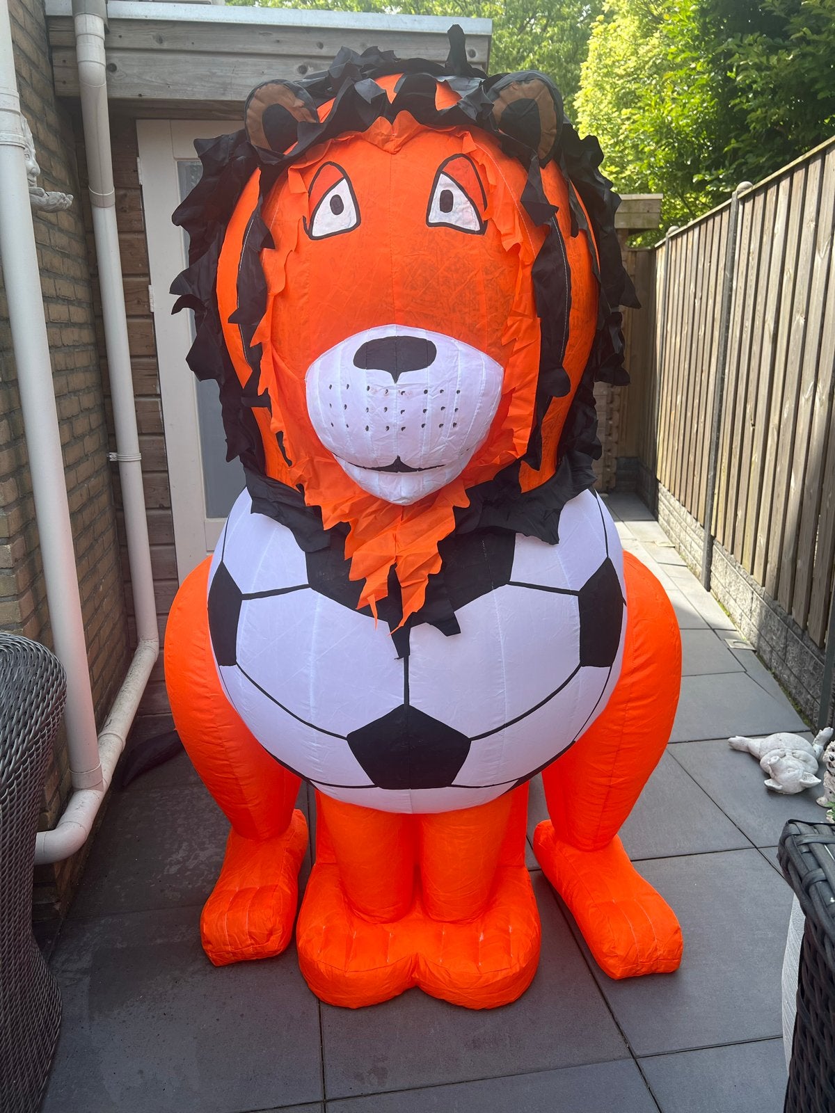 Opblaasbare Oranje Leeuw met Voetbal te huur €15,- per dag, Ophalen of Verzenden, Nieuw, Versiering, Oranje of Koningsdag
