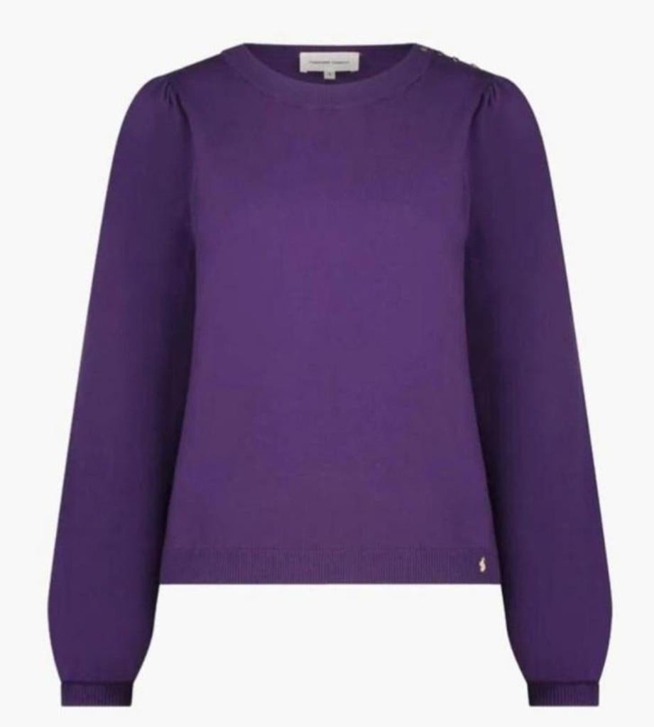 FABIENNE CHAPOT MILLY PULLOVER, Kleding | Dames, Paars, Ophalen of Verzenden, Zo goed als nieuw, Fabienne Chapot