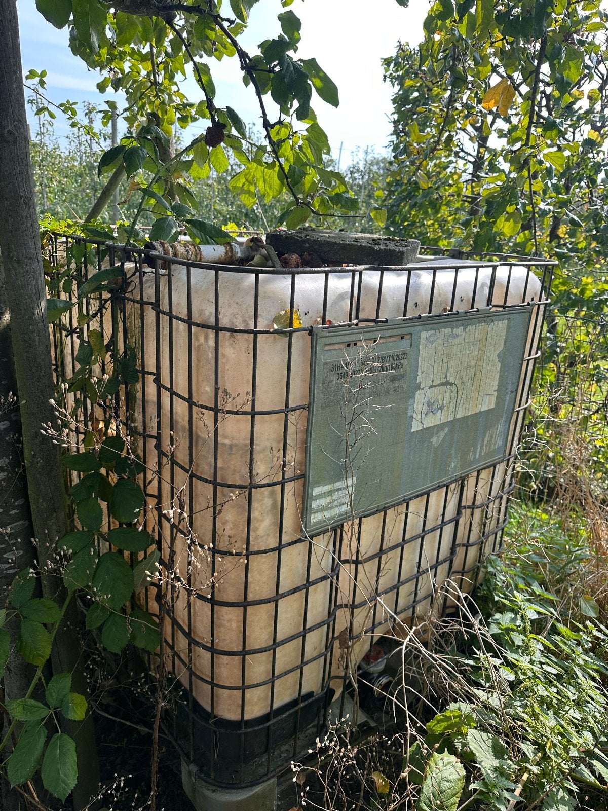 IBC-vat 1000 liter met kraan, Tuin en Terras, 150 liter of meer, Ophalen, Gebruikt, Kunststof