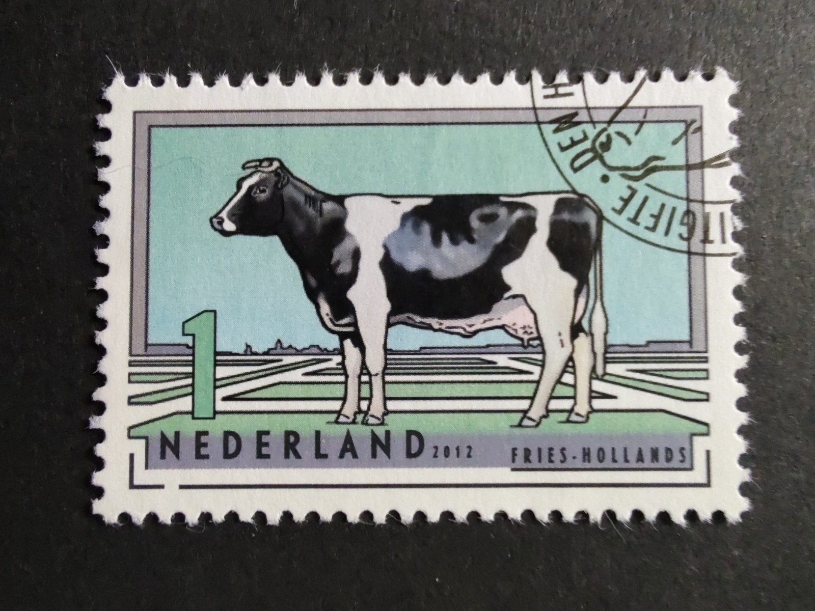 2975 fries-hollands 2012 rundvee rassen, Ophalen of Verzenden