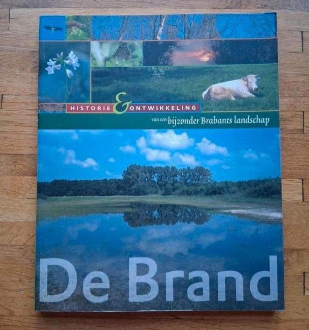 De brand
Historie en ontwikkeling
Van een brabants landschap, Ophalen of Verzenden, Zo goed als nieuw