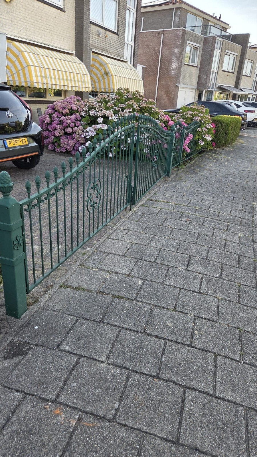 Tuinhek, Tuin en Terras, Tuinhekken en Hekwerk, Ophalen, Zo goed als nieuw, IJzer, Sierhekwerk
