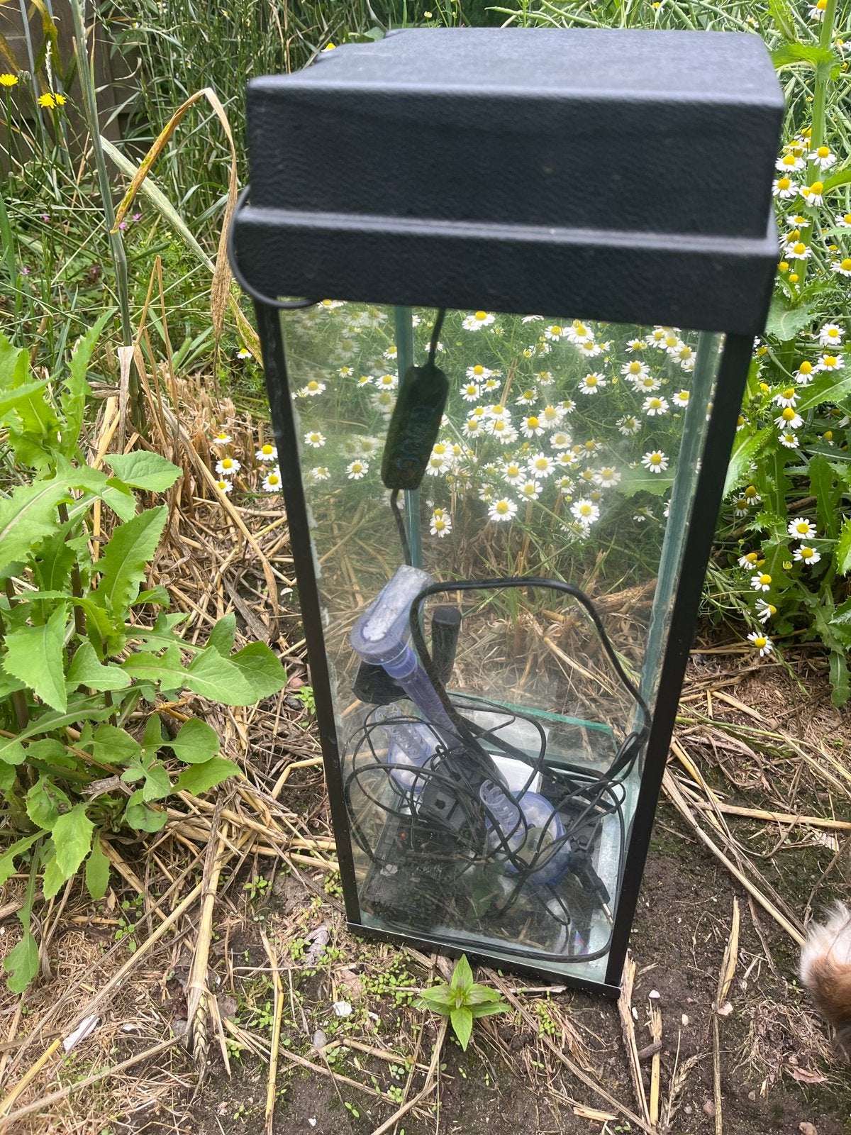 Aquarium, Ophalen, Inclusief deksel, Gebruikt, Leeg aquarium