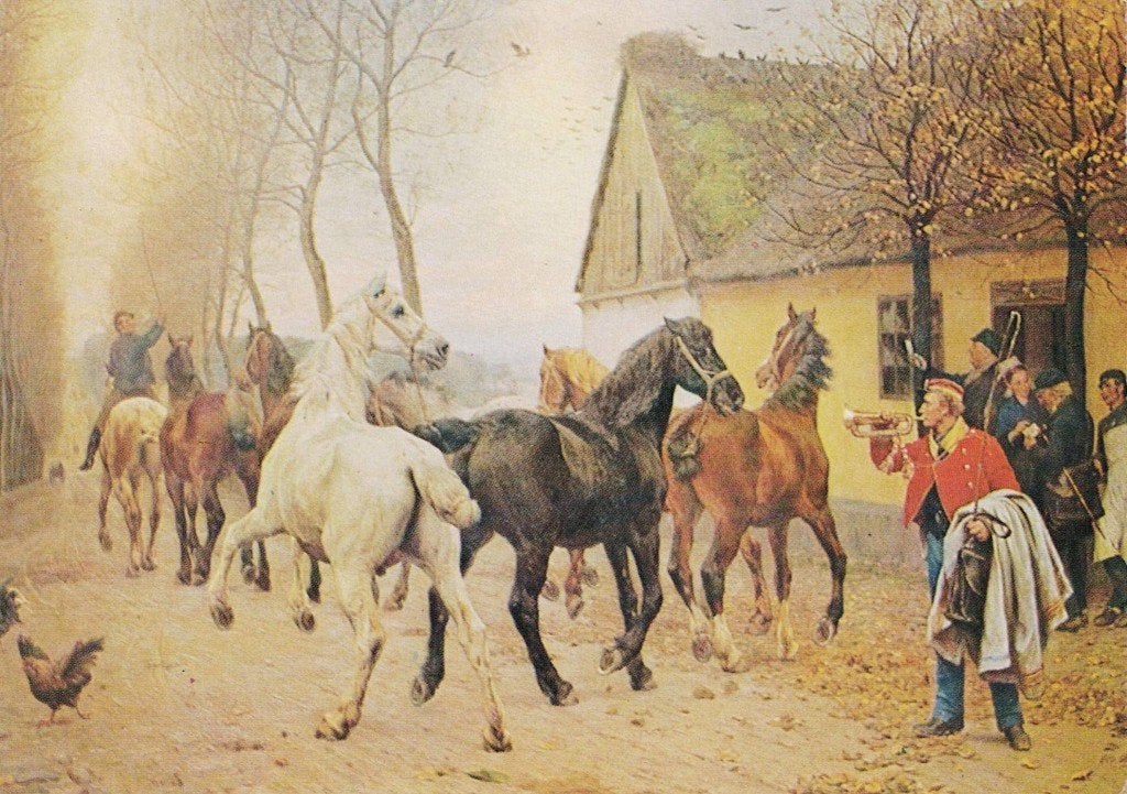 Paarden schrikken van de trompet 465, Ophalen of Verzenden, 1980 tot heden, Ongelopen, Paard