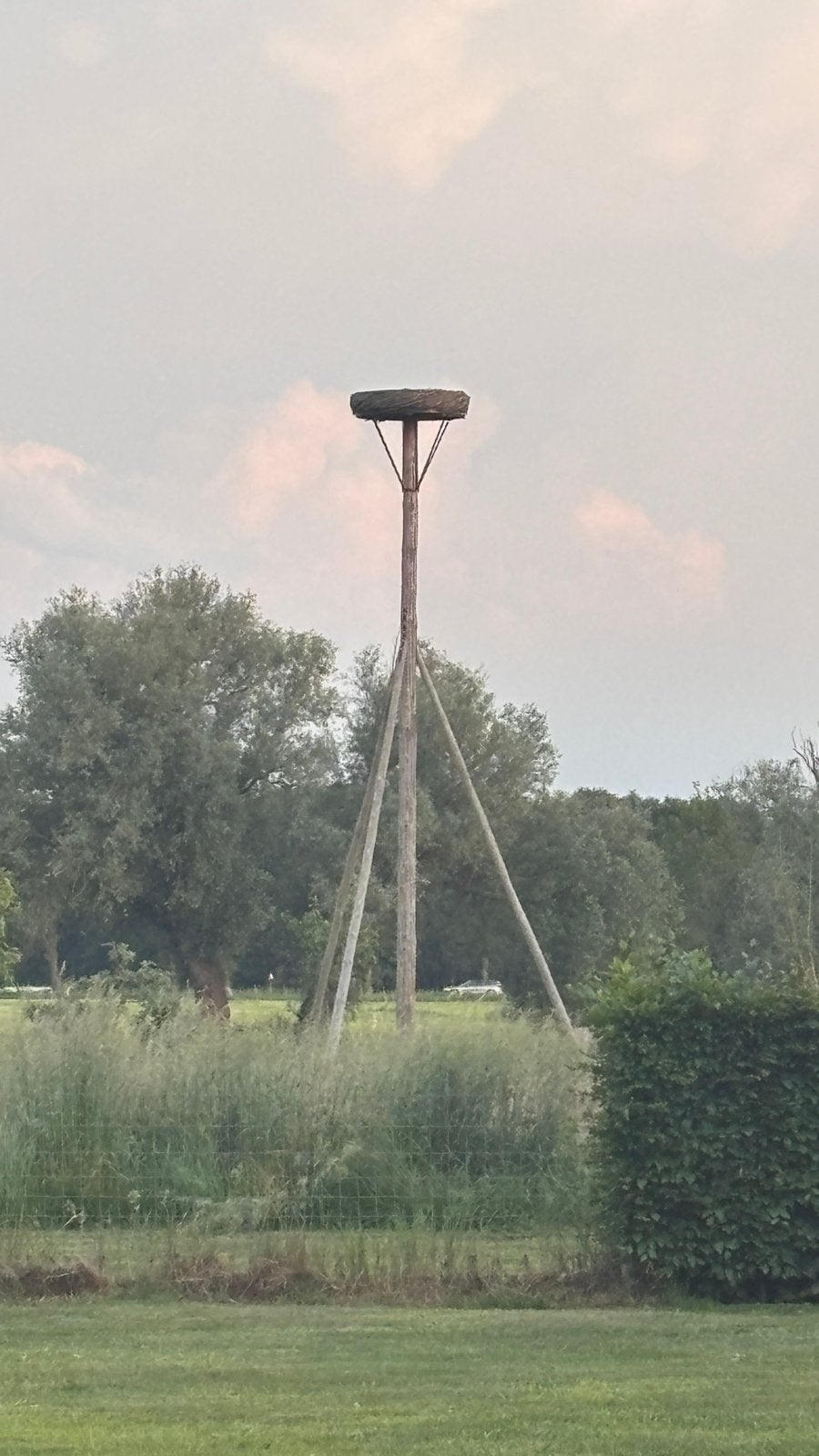 Ooievaarsnest op paal, professioneel en in perfecte staat!, Ophalen, Zo goed als nieuw, 250 cm of meer, Palen