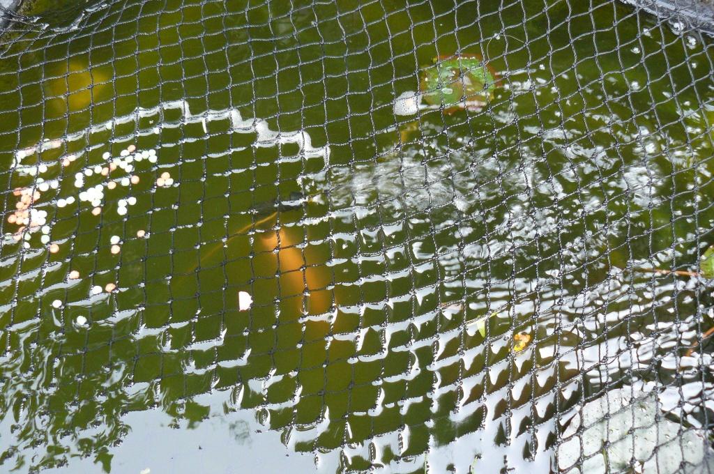 komplete visvijver, Tuin en Terras, Ophalen, Zo goed als nieuw, Overige typen