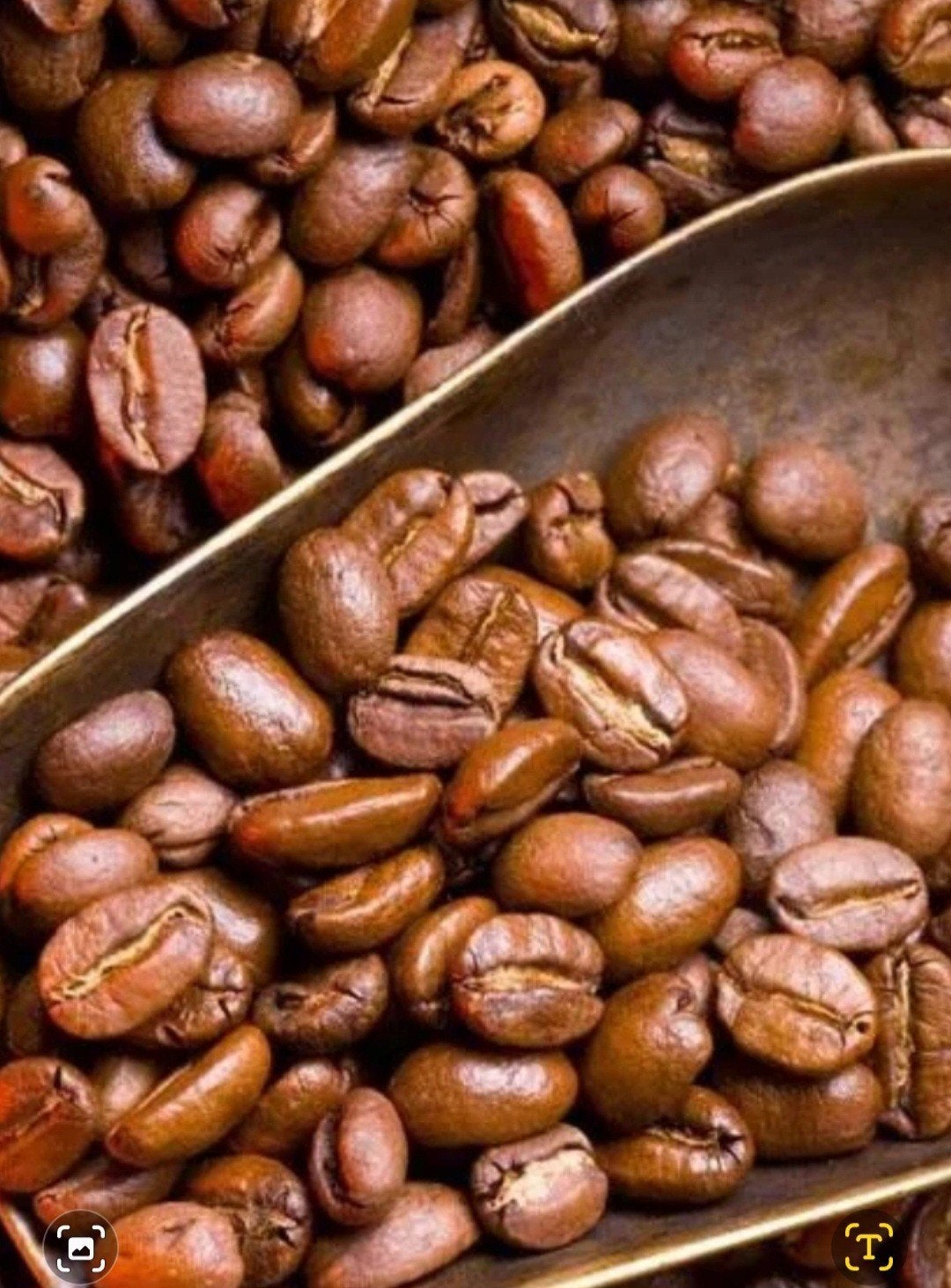 Arabica Koffiebonen - Kwaliteit voor een Voordelige Prijs, Overige modellen, 10 kopjes of meer, Nieuw, Koffiebonen