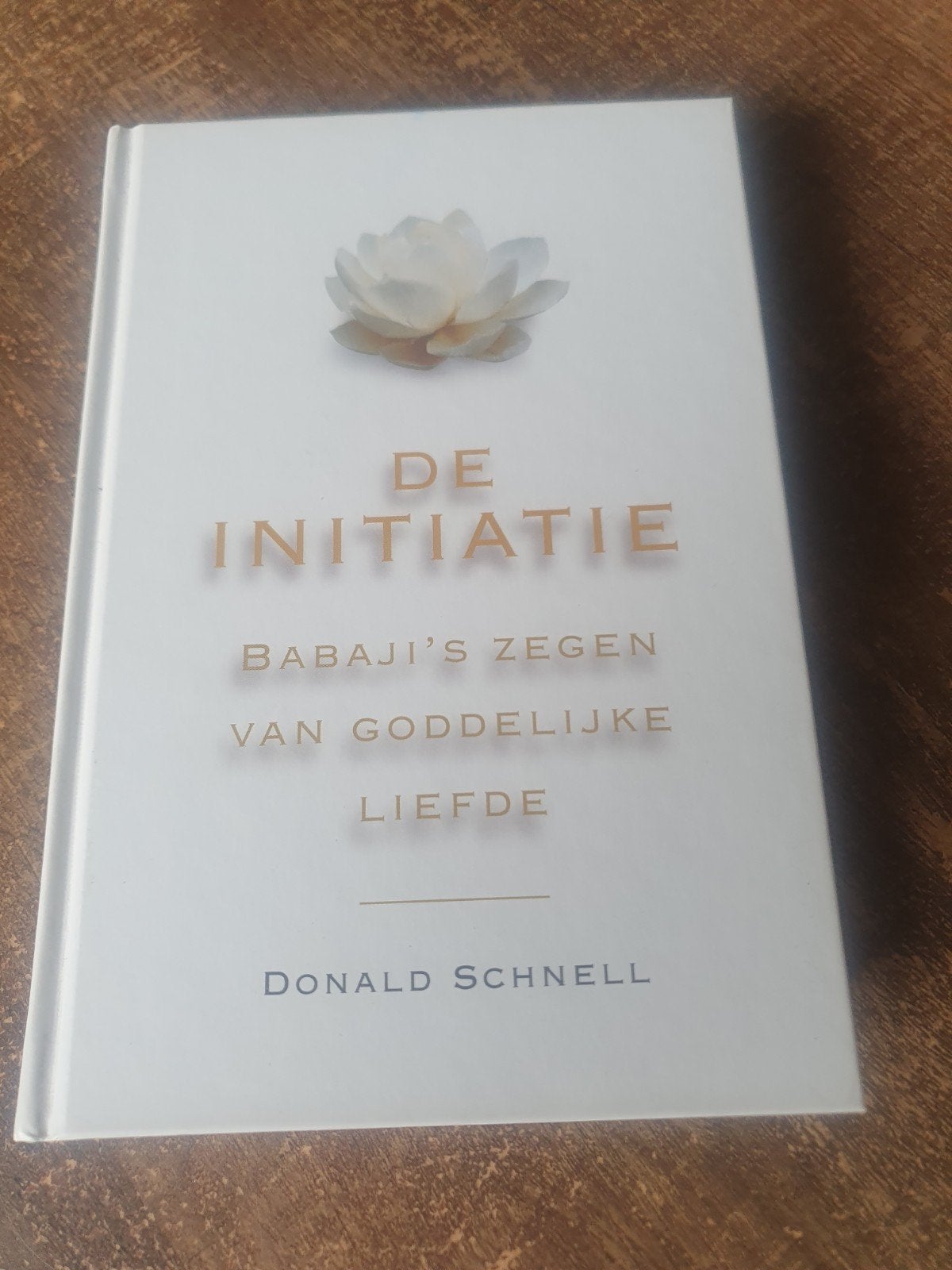 De Initiatie: Babaji's Zegen van Goddelijke Liefde, Boeken, Ophalen of Verzenden, Zo goed als nieuw, Spiritualiteit algemeen, Achtergrond en Informatie