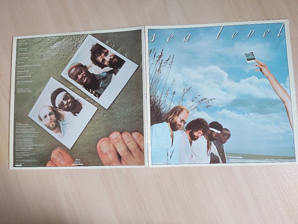Sea Level- Sea Level LP (Chuck Leavell Allman brothers), Gatefold hoes, Ophalen of Verzenden, Zo goed als nieuw, 12 inch