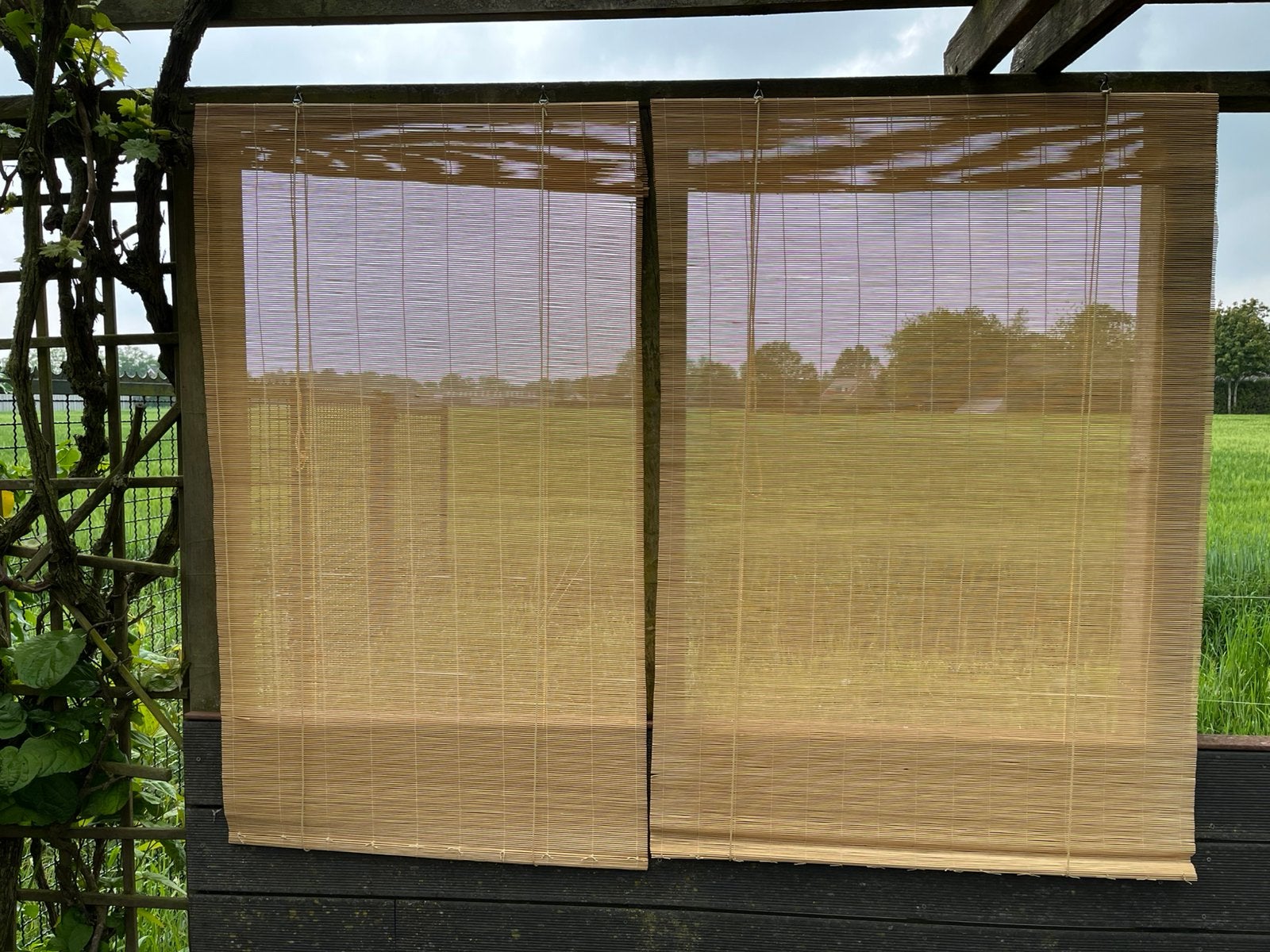 2 Naturel Bamboe-rolgordijnen, zonwering, naturel kleur, Ophalen, Gebruikt, Minder dan 250 cm, Minder dan 150 cm