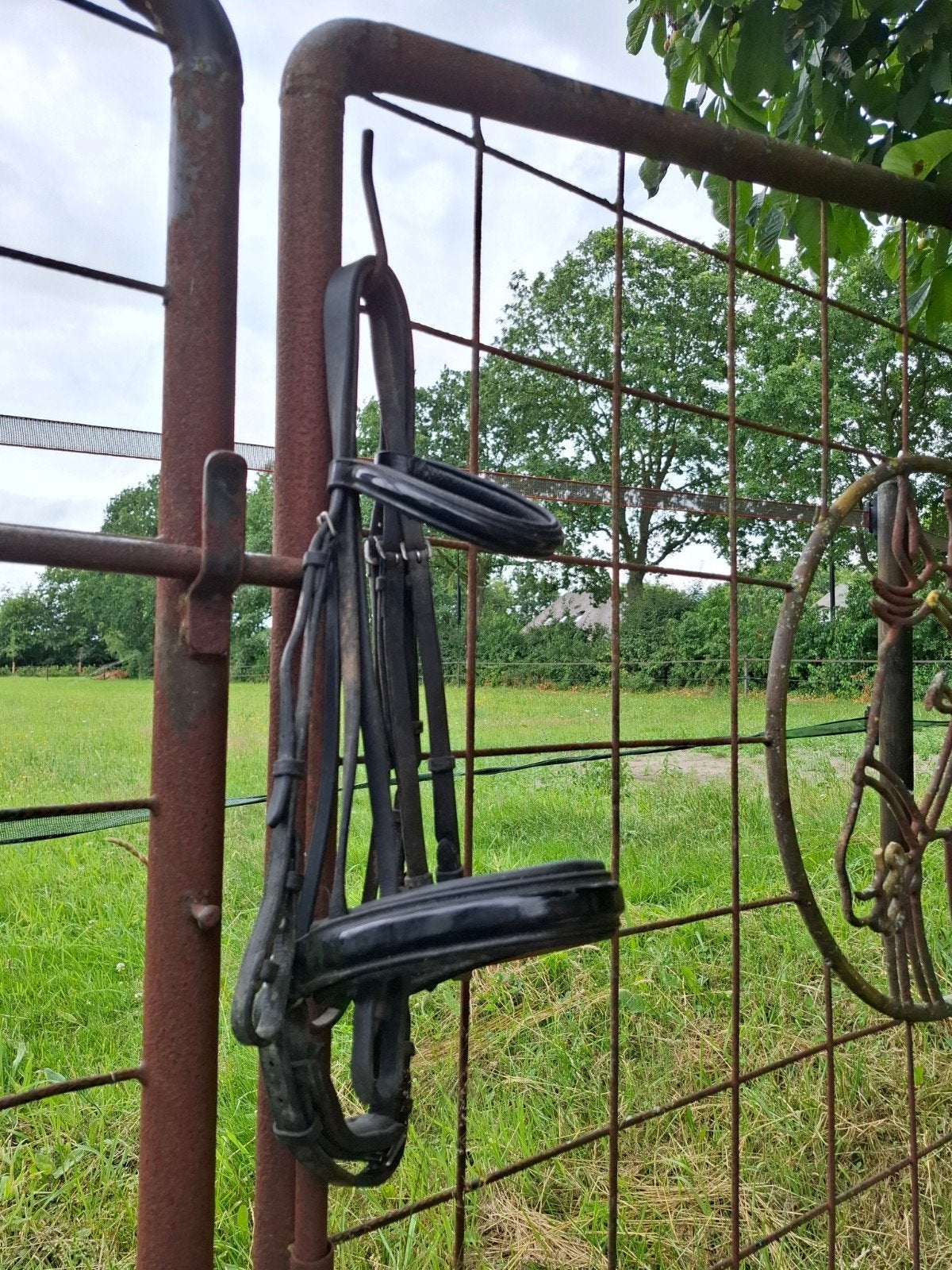 Stang en trens hoofdstel JC lak full, Dieren en Toebehoren, Stalling en Weidegang